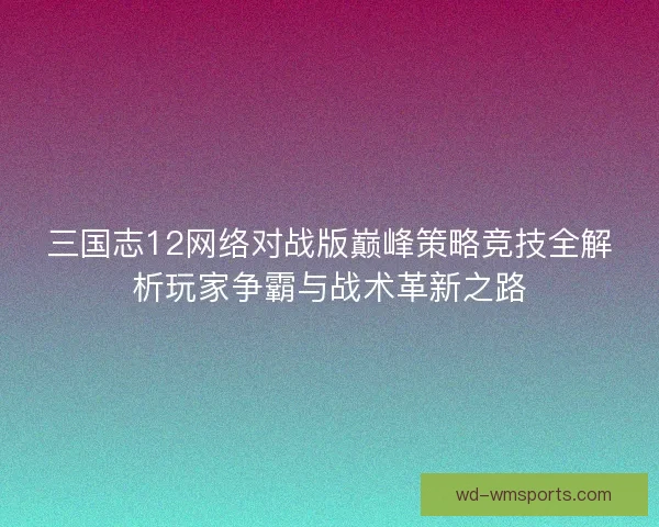 三国志12网络对战版巅峰策略竞技全解析玩家争霸与战术革新之路